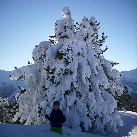 Gappmayrhof Bauernhof Tamsweg