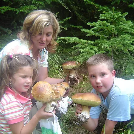 Bauernhof Gappmayrhof *