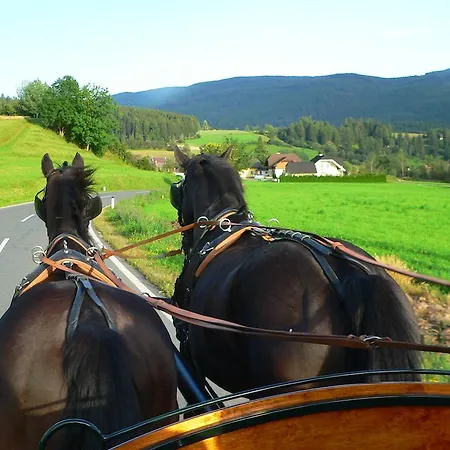 Agroturismo Gappmayrhof Tamsweg