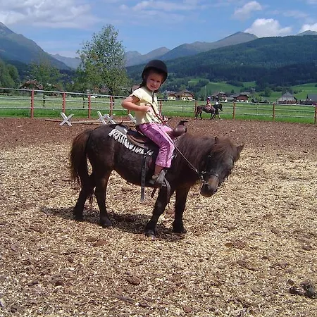 Bauernhof Gappmayrhof *