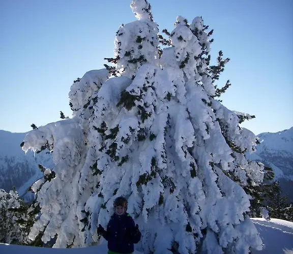 Gappmayrhof בית חווה טאמסווג