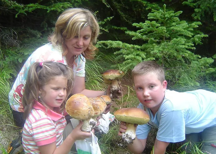 Agroturismo Gappmayrhof *