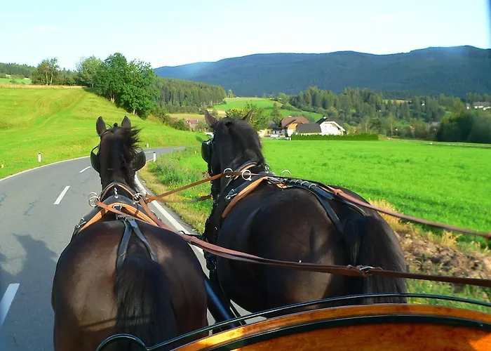 Agroturismo Gappmayrhof Tamsweg