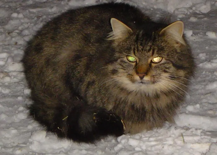 בית חווה Gappmayrhof *